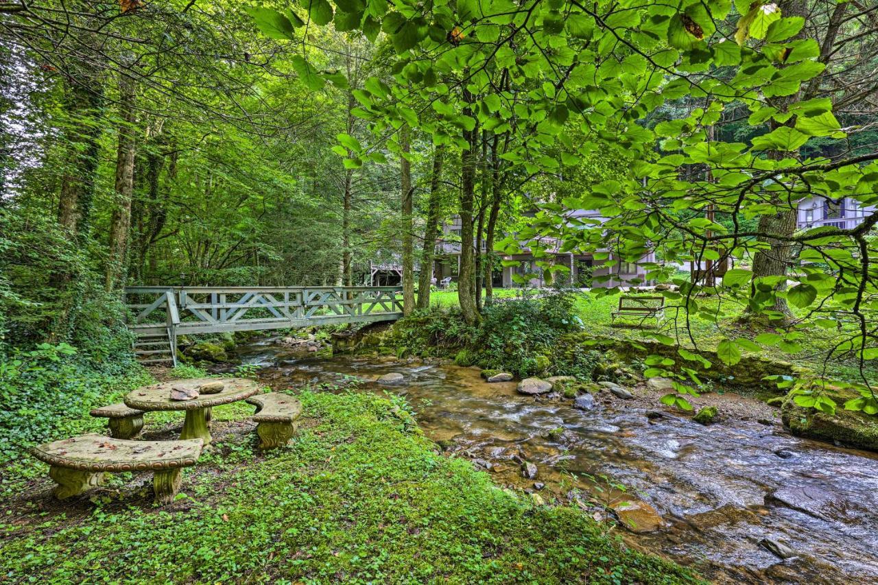 Roan Mountain Creekside Cabin Hike And Fish! Exterior photo